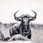 réserves naturelles