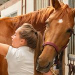 soins pour cheval