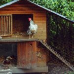 ferme