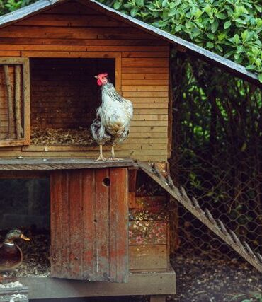 ferme
