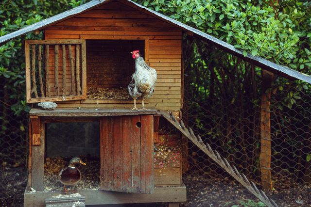 ferme